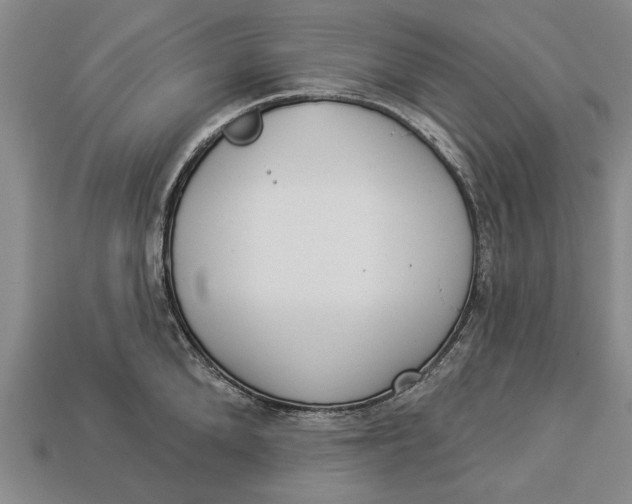 X0000112960904200909171255