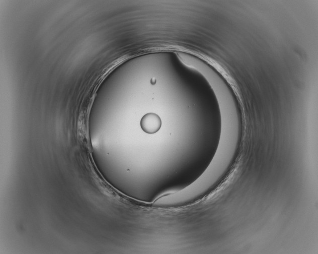 X0000112960905200909171255