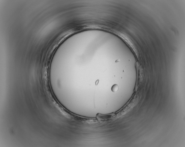 X0000112960906200909171255