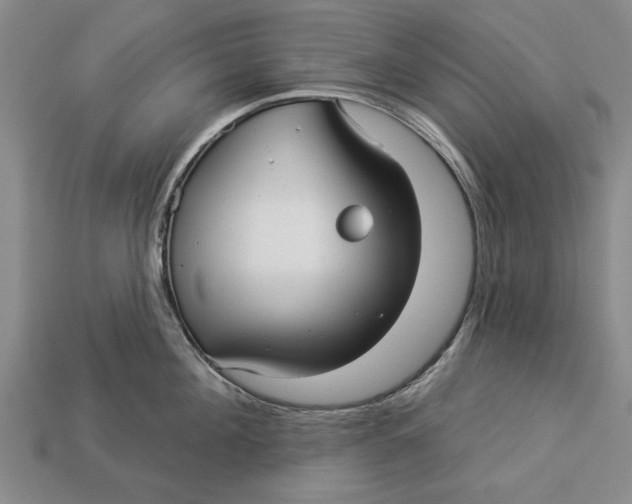 X0000112960908200909171255