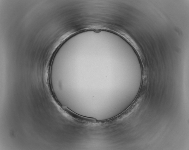 X0000112960909200909171255