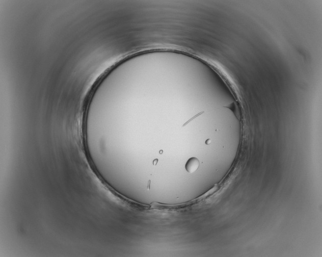 X0000112960910200909171255