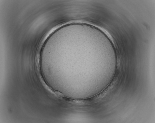 X0000112960911200909171255