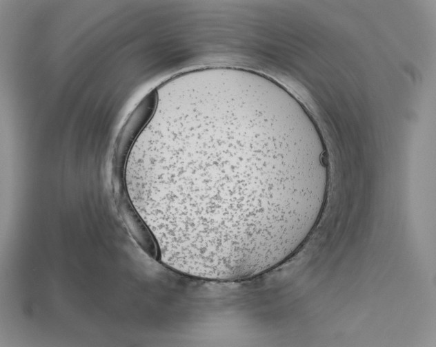 X0000112960912200909171255