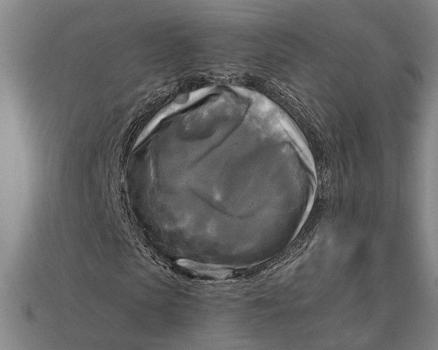 X0000112960913200909171254