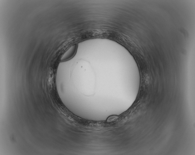 X0000112960914200909171254