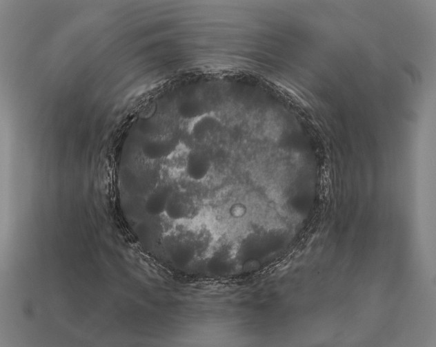 X0000112960917200909171254