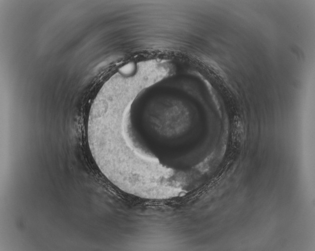 X0000112960918200909171254