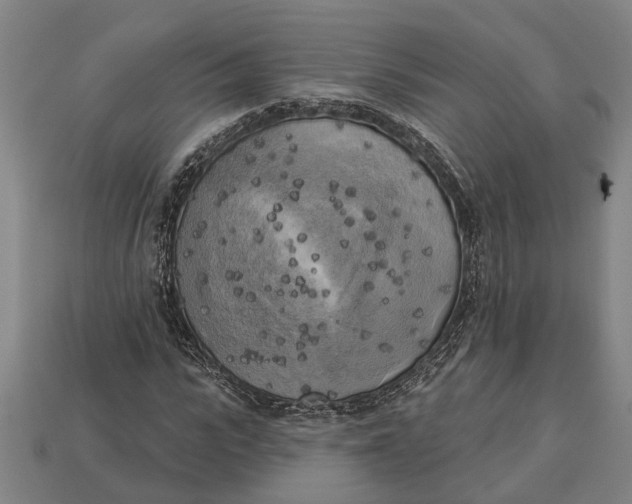 X0000112960919200909171254