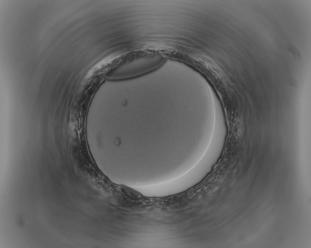 X0000112960920200909171254