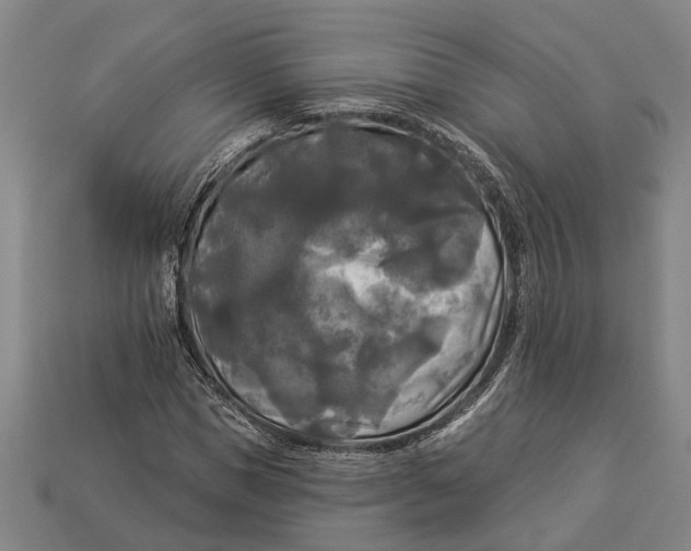 X0000112960921200909171254