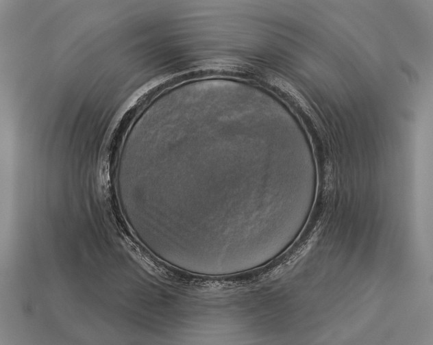 X0000112960923200909171254