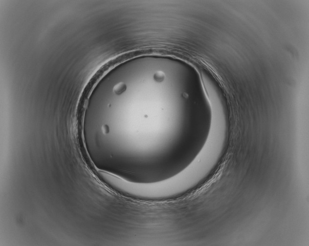 X0000112960924200909171254