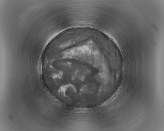 X0000112960925200909171254