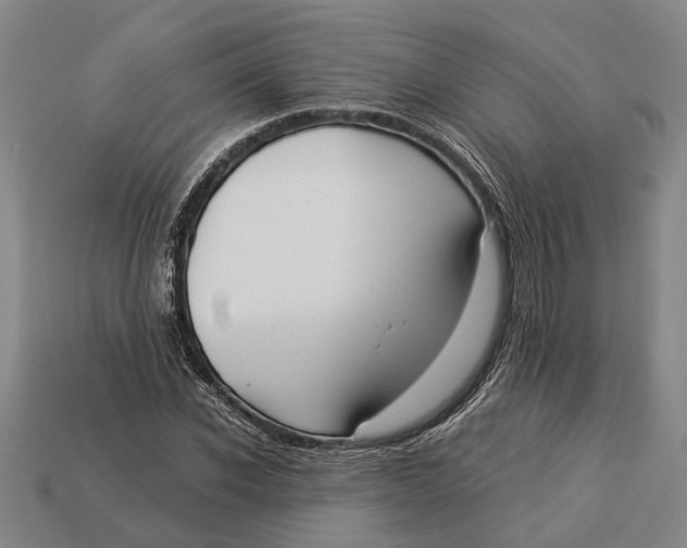 X0000112960926200909171254