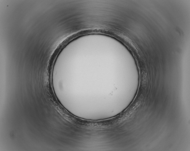 X0000112960927200909171254