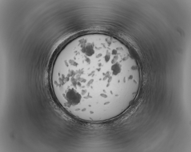 X0000112960928200909171254