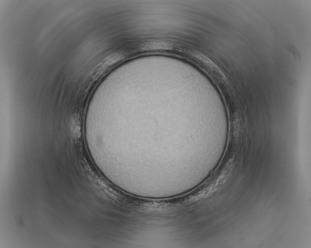 X0000112960929200909171254