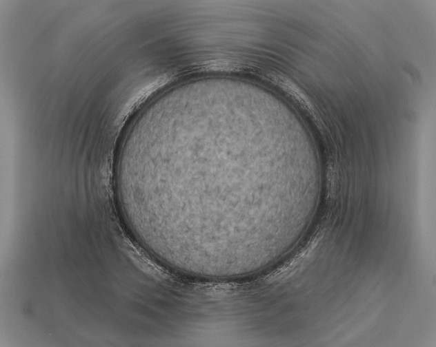 X0000112960930200909171254