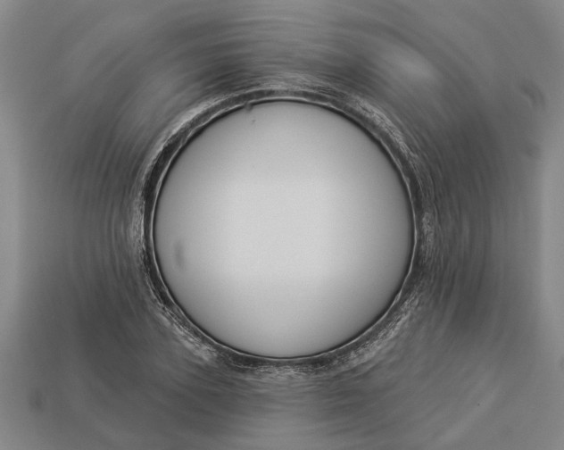 X0000112960931200909171254