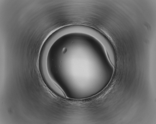 X0000112960932200909171254