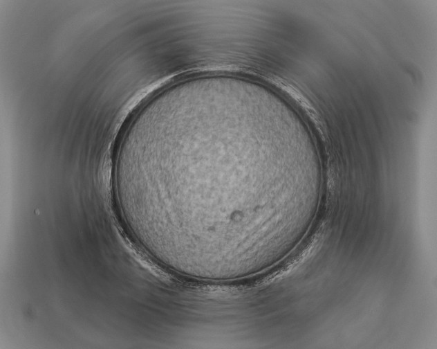 X0000112960933200909171254