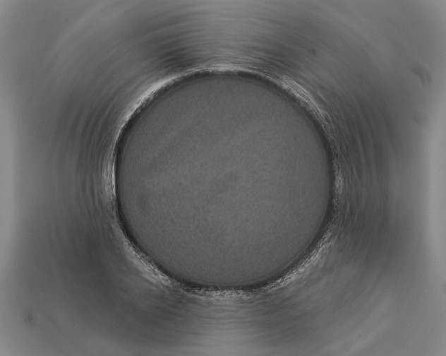 X0000112960934200909171255