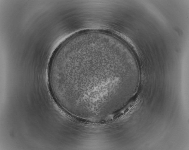 X0000112960935200909171255