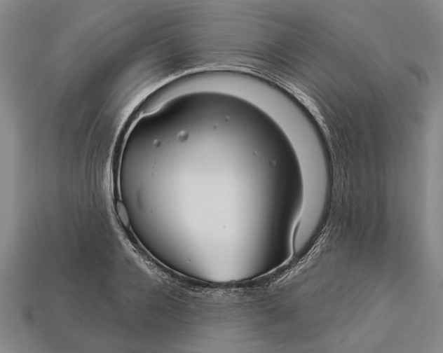 X0000112960936200909171255