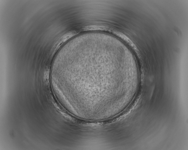 X0000112960937200909171255