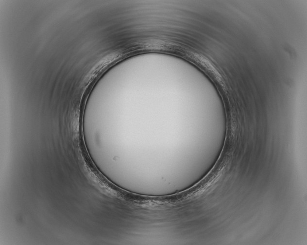 X0000112960938200909171255