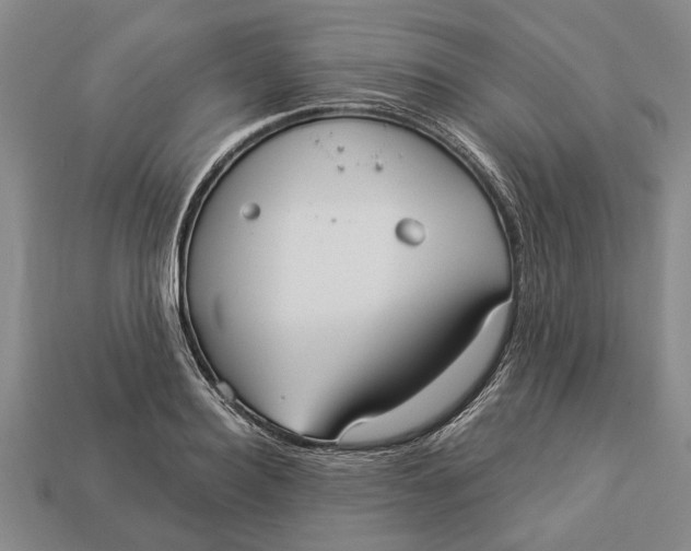 X0000112960940200909171255