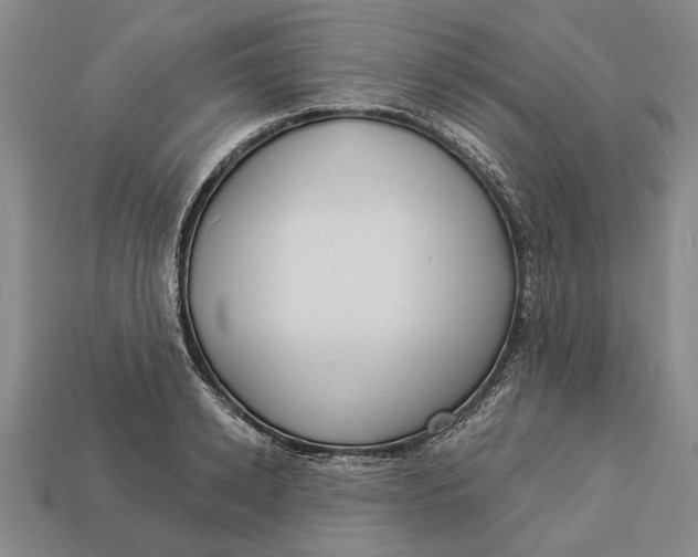 X0000112960942200909171255