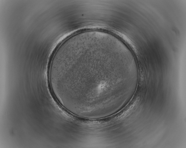 X0000112960943200909171255