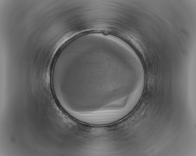 X0000112960944200909171255