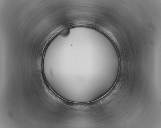 X0000112960946200909171255