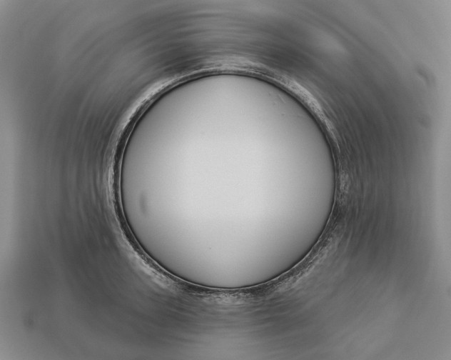 X0000112960947200909171255