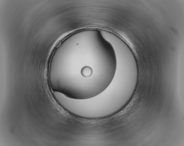 X0000112960948200909171255