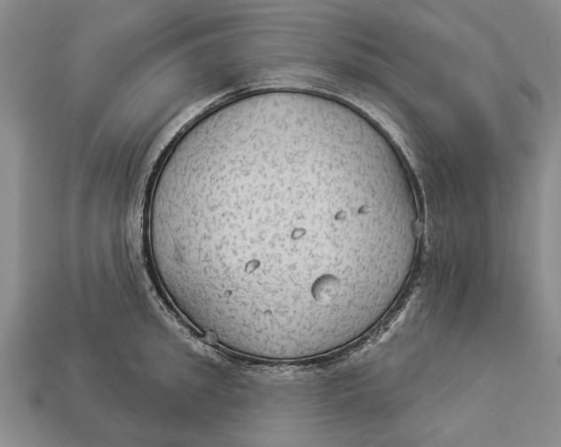 X0000112960949200909171255