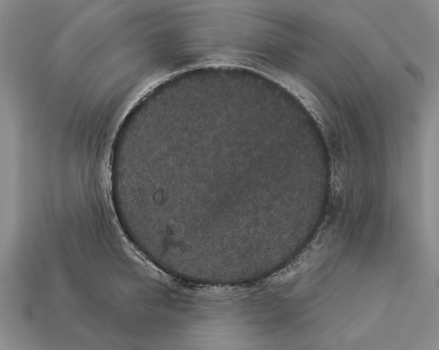 X0000112960950200909171255