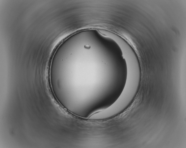 X0000112960952200909171255