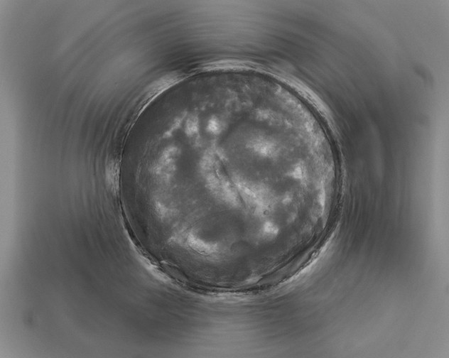 X0000112960953200909171255