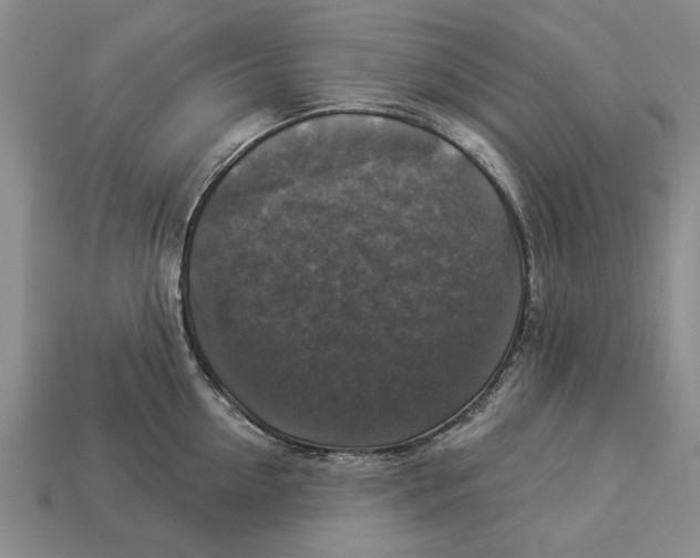 X0000112960954200909171255