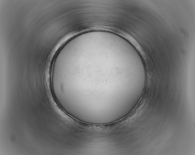 X0000112960955200909171255