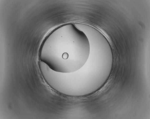 X0000112960956200909171255