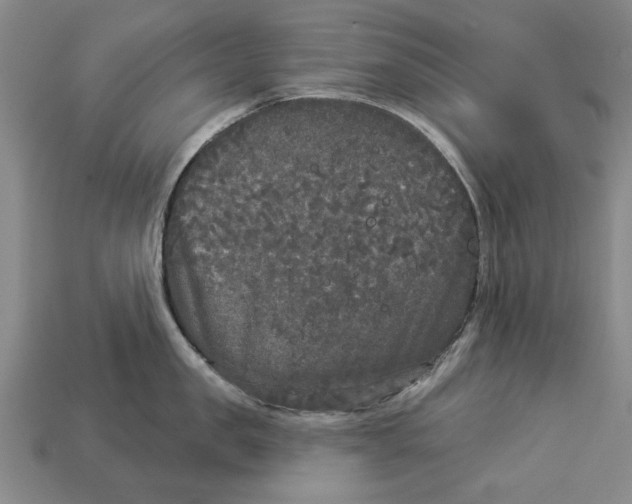 X0000112960957200909171255