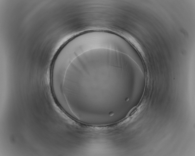 X0000112960958200909171255