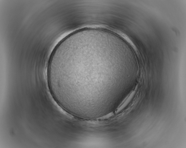 X0000112960959200909171255