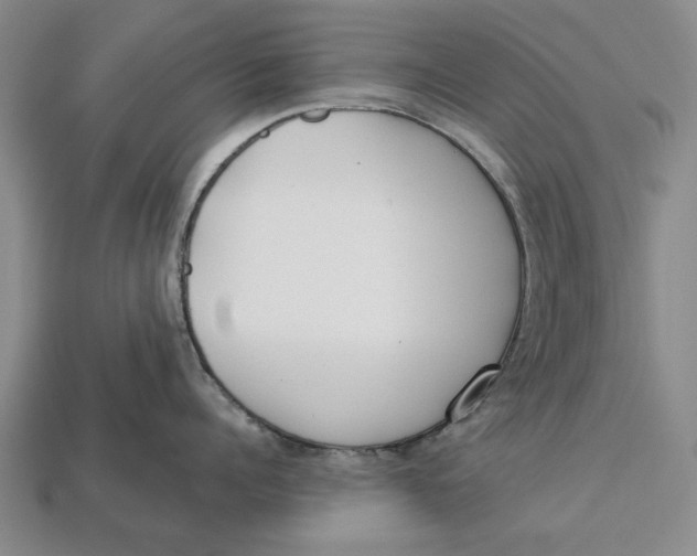 X0000112960960200909171255