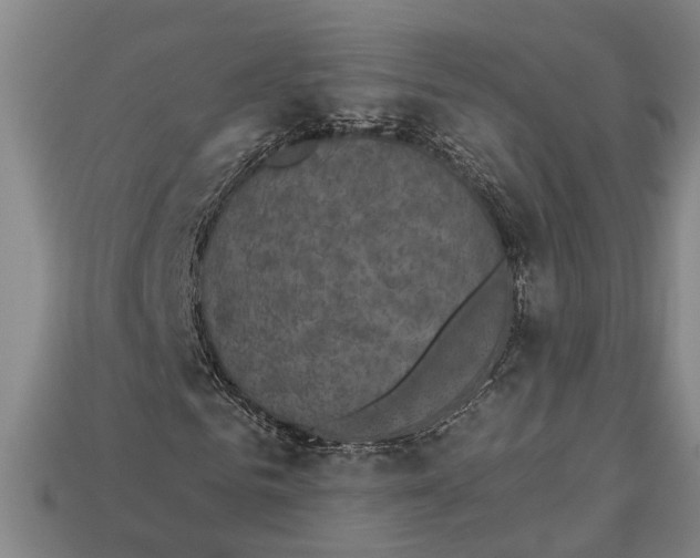 X0000112960961200909171254